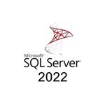 Microsoft CSP SQL Server 2022 - 1 User CAL