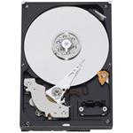 WD Blue 1TB, 3.5" HDD, 7200rpm, 64MB, SATA III