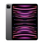 Apple 13" iPad Pro WiFi 2TB se sklem s nanotexturou - Space Black