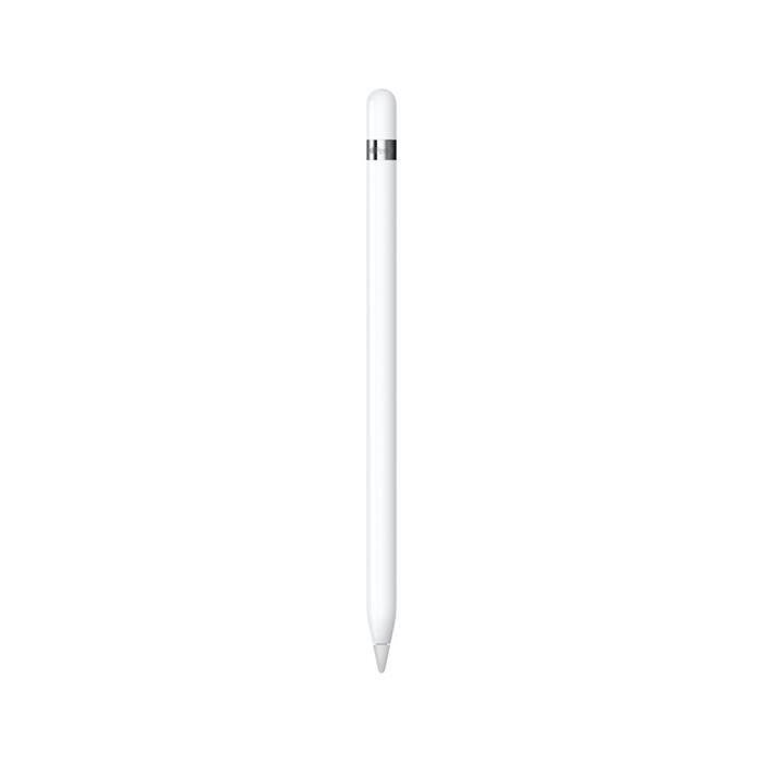 Apple Pencil (1. generace) s USB-C adaptérem