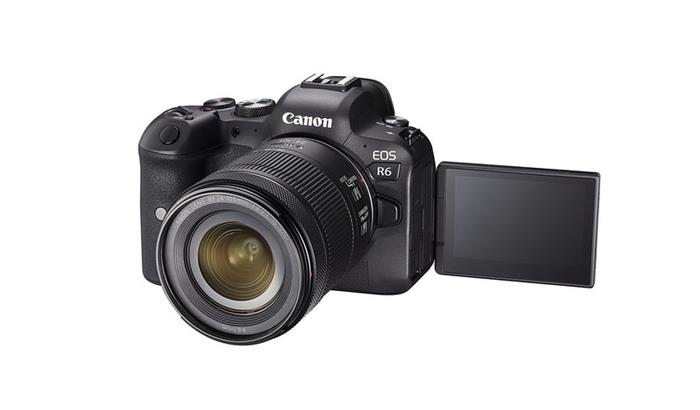 Canon EOS R6 + 24-105 STM