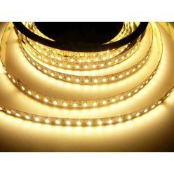 LED pásek TLE SMD 3328 120LED/m, 5m, teplá bílá, IP20,12V