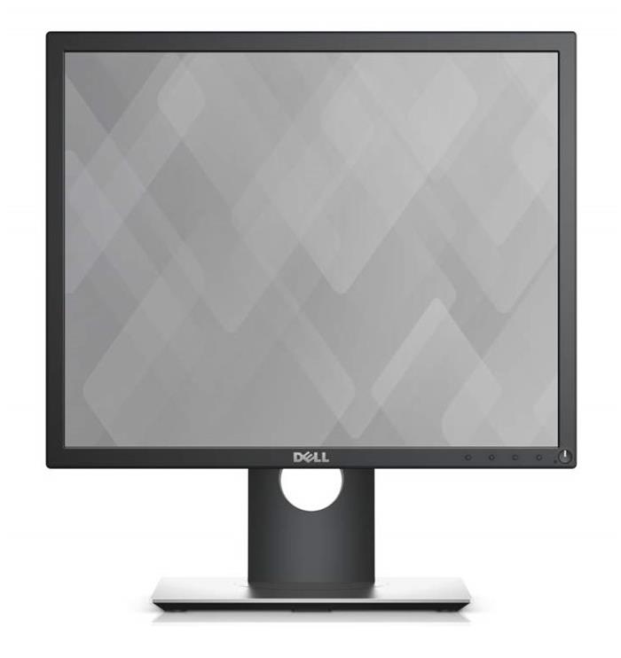 Dell Professional P1917S