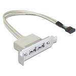 Delock Slot bracket USB 2.0 low profile 2 port