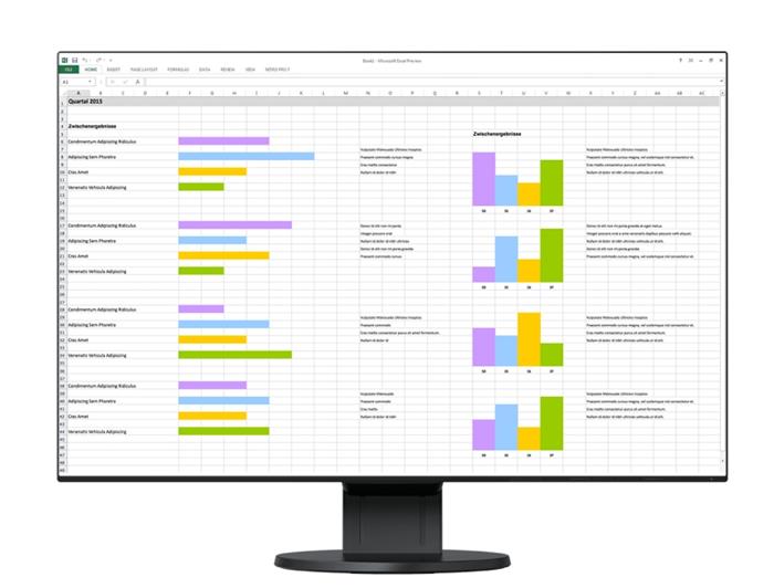 EIZO FlexScan EV2456 Black