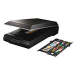 Epson Perfection V600 Photo, skener A4, 6400x9600dpi, 3.4DMax