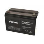 FUKAWA FWL 100-12 (12V; 100 Ah; závit M6; životnost 10let)  