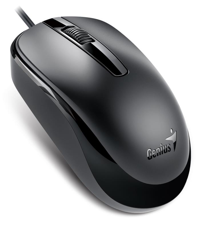 Genius DX-120 USB-C černá
