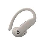 Beats Powerbeats Pro 2/ANC/BT/Quick Sand