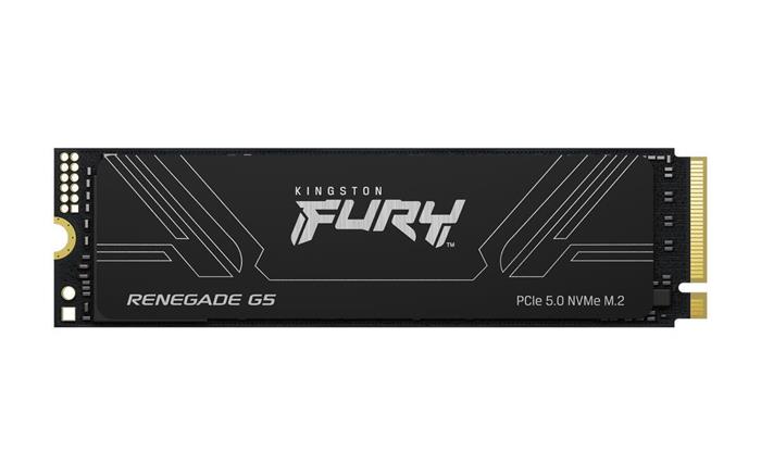 Kingston Fury Renegade G5 4TB