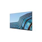Lenovo ThinkViosion E55 54,6"/16:9/3840x2160/8ms