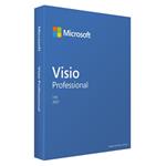 Microsoft Visio Professional 2021 CZ (Windows)