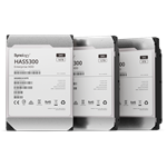 Synology HAS5300 16TB