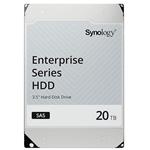 Synology HAS5310 20TB
