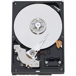 WD Blue 1TB